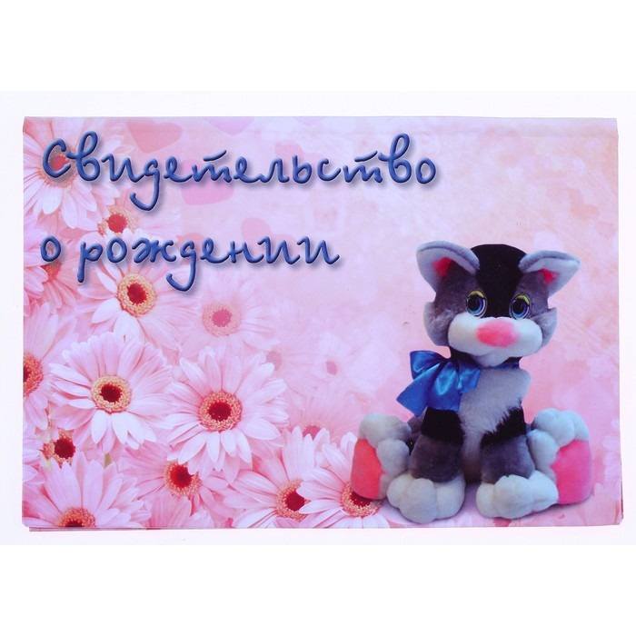 Свидетельство о рождении "Кот" А5 ламинированная