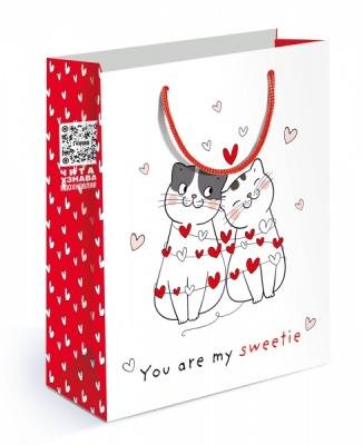 Пакет подарочный "Коты и сердечки", 18*23*10см