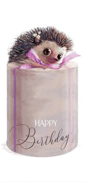 Конверт для денег "Happy Birthday, Ежик и подарок" /0256