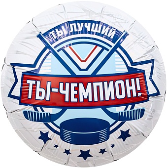 AG18"/46см Круг Хоккей, Ты Чемпион! /1202-4199