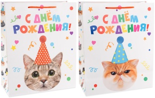 Пакет подарочный "Котик в колпачке", Лаковый, 23*18*10см