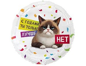 CN 18"/45см Круг С ГОДАМИ ТЫ ЛУЧШЕ Кот Сердитый